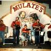 The Cajun Tradition band playing at Mulate's in New Orleans, Louisiana.